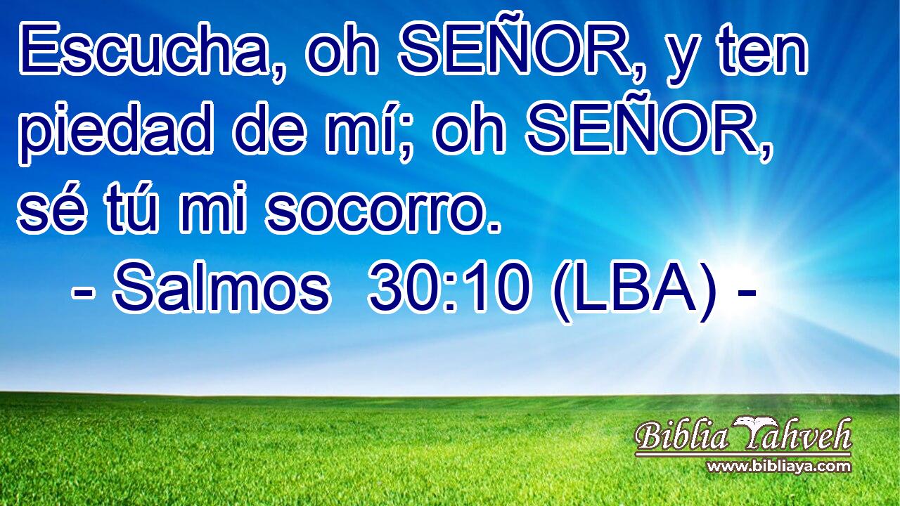 Escucha, oh SEÑOR, y ten piedad de mí; oh SEÑOR, sé tú mi socorro.