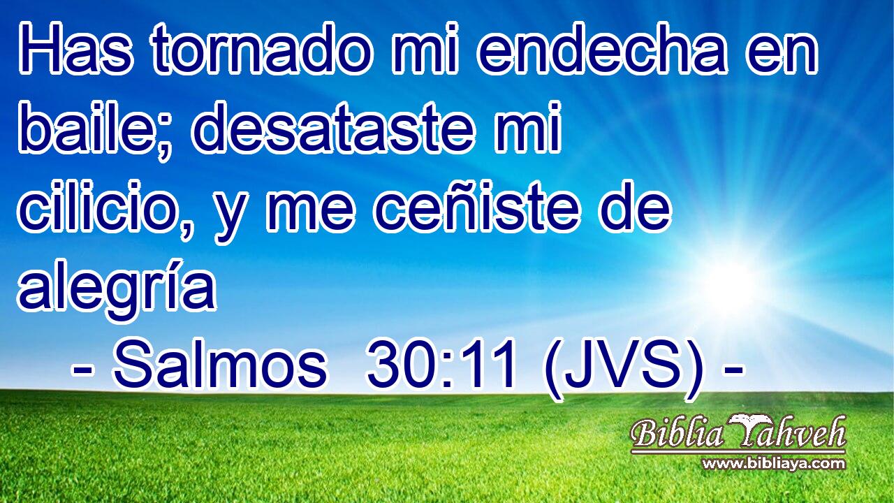 Has tornado mi endecha en baile; desataste mi cilicio, y me ceñiste de alegría