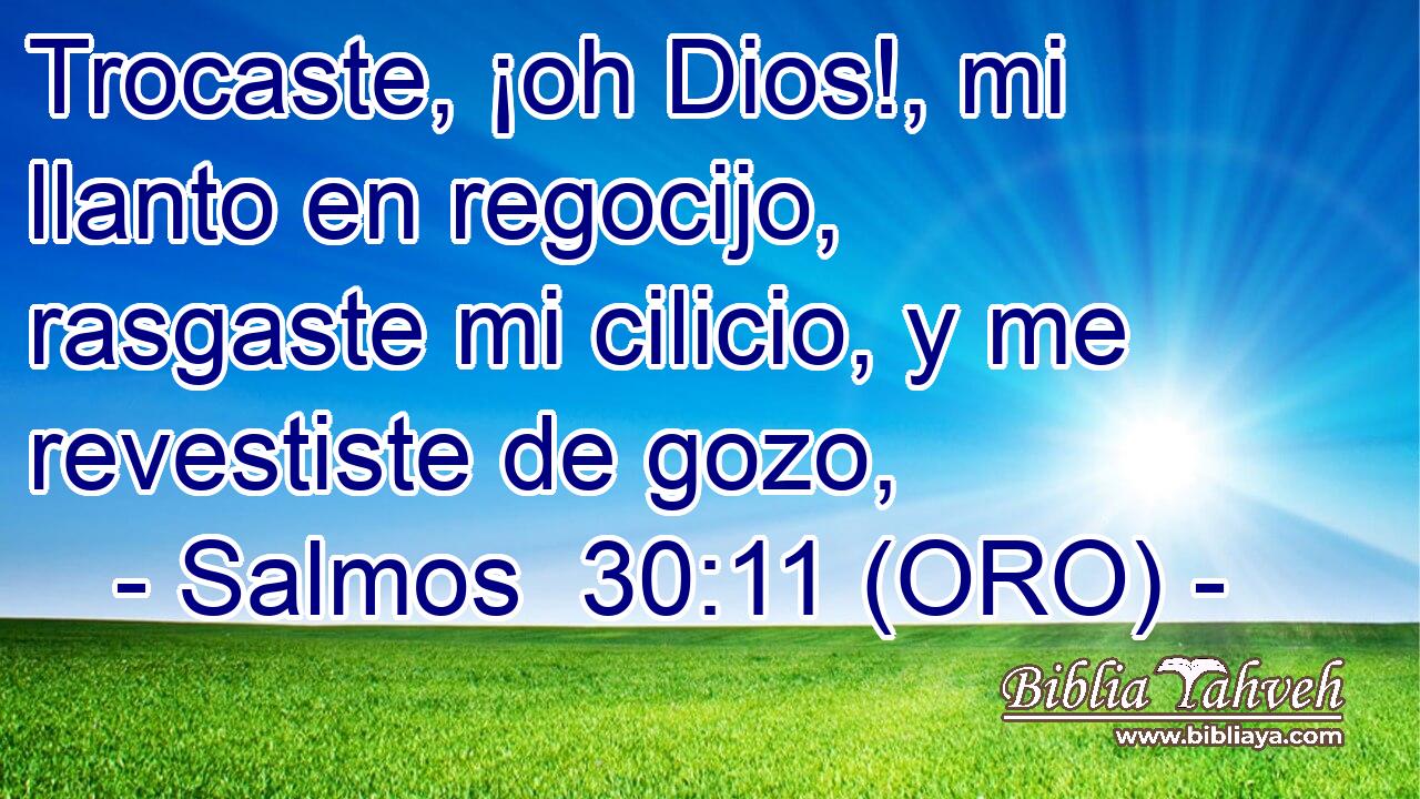 Trocaste, ¡oh Dios!, mi llanto en regocijo, rasgaste mi cilicio, y me revestiste de gozo, 