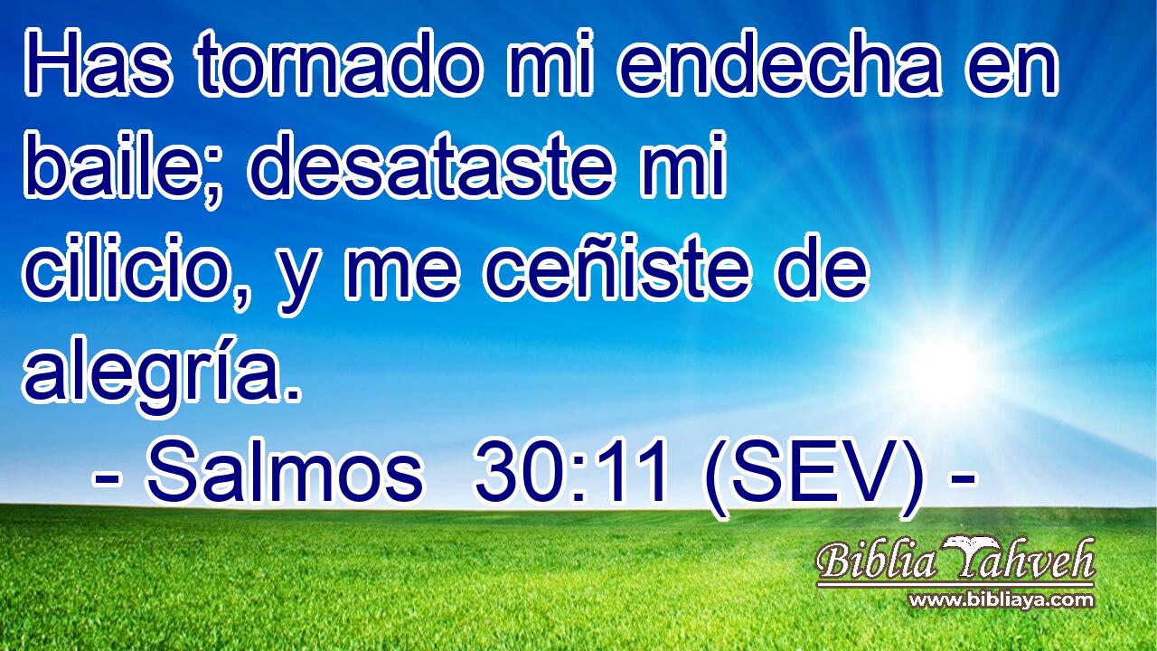 Has tornado mi endecha en baile; desataste mi cilicio, y me ceñiste de alegría.