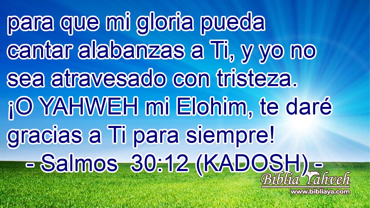  para que mi gloria pueda cantar alabanzas a Ti, y yo no sea atravesado con tristeza. ¡O YAHWEH mi Elohim, te daré gracias a Ti para siempre! 
