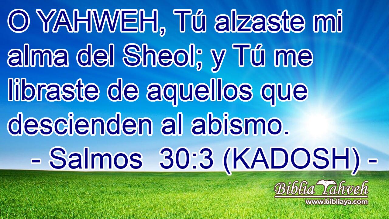 O YAHWEH, Tú alzaste mi alma del Sheol; y Tú me libraste de aquellos que descienden al abismo. 