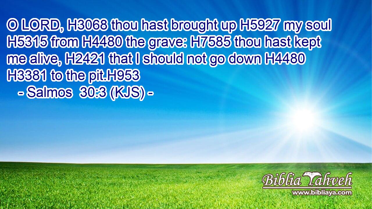 O LORD, H3068 thou hast brought up H5927 my soul H5315 from H4480 the grave: H7585 thou hast kept me alive, H2421 that I should not go down H4480  H3381 to the pit.H953