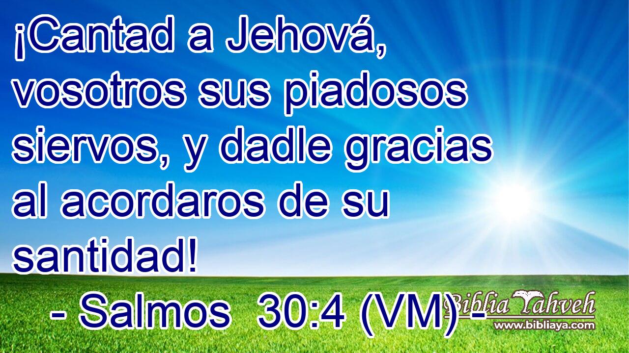  ¡Cantad a Jehová, vosotros sus piadosos siervos, y dadle gracias al acordaros de su santidad! 