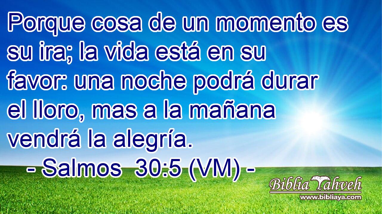  Porque cosa de un momento es su ira; la vida está en su favor: una noche podrá durar el lloro, mas a la mañana vendrá la alegría. 