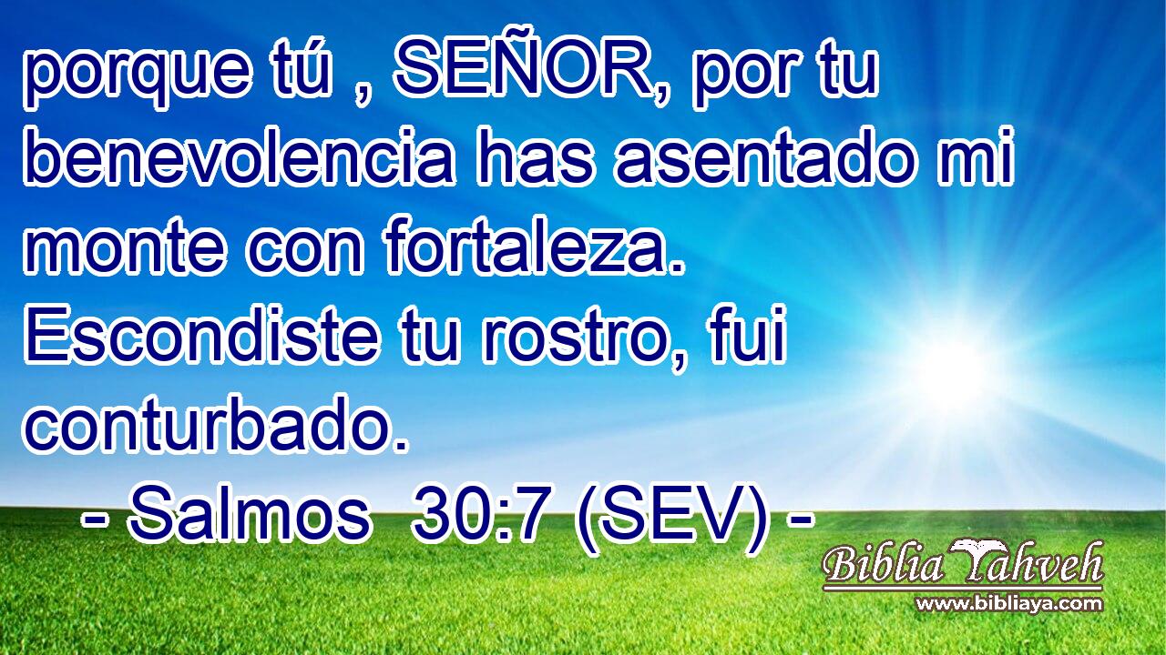 porque tú , SEÑOR, por tu benevolencia has asentado mi monte con fortaleza. Escondiste tu rostro, fui conturbado.