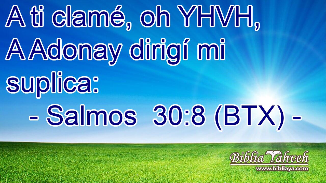 A ti clamé, oh YHVH, A Adonay dirigí mi suplica: