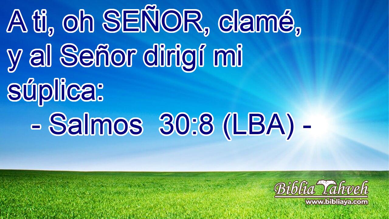 A ti, oh SEÑOR, clamé, y al Señor dirigí mi súplica: