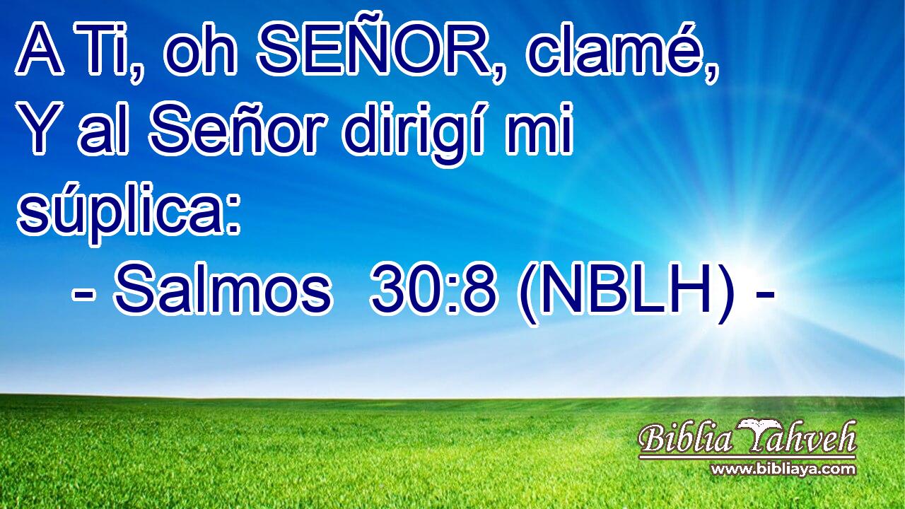  A Ti, oh SEÑOR, clamé, Y al Señor dirigí mi súplica: 