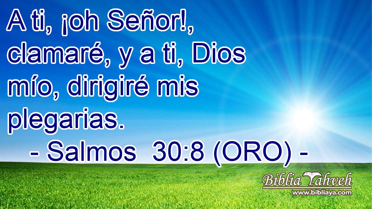  A ti, ¡oh Señor!, clamaré, y a ti, Dios mío, dirigiré mis plegarias. 