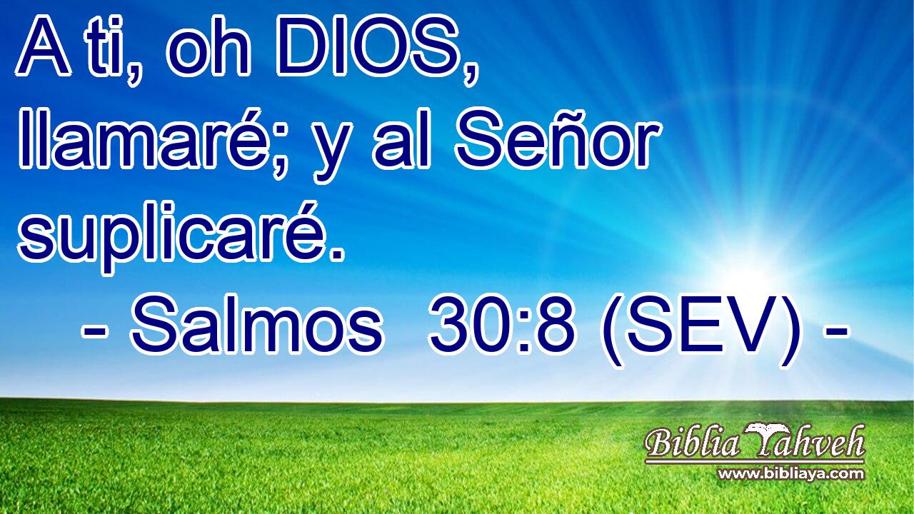 A ti, oh DIOS, llamaré; y al Señor suplicaré.
