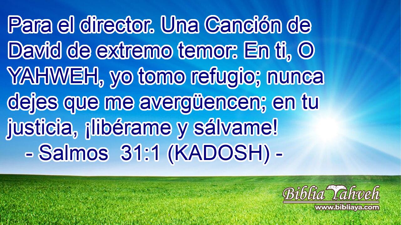  Para el director. Una Canción de David de extremo temor: En ti, O YAHWEH, yo tomo refugio; nunca dejes que me avergüencen; en tu justicia, ¡libérame y sálvame! 