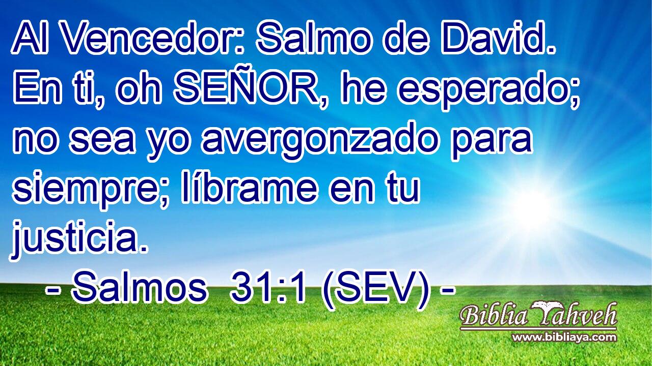 Al Vencedor: Salmo de David. En ti, oh SEÑOR, he esperado; no sea yo avergonzado para siempre; líbrame en tu justicia.