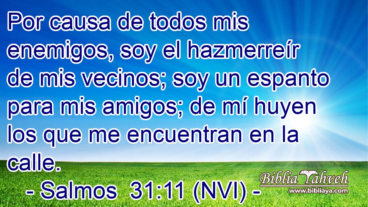  Por causa de todos mis enemigos, soy el hazmerreír de mis vecinos; soy un espanto para mis amigos; de mí huyen los que me encuentran en la calle. 