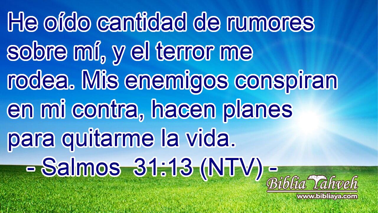He oído cantidad de rumores sobre mí, y el terror me rodea. Mis enemigos conspiran en mi contra, hacen planes para quitarme la vida.