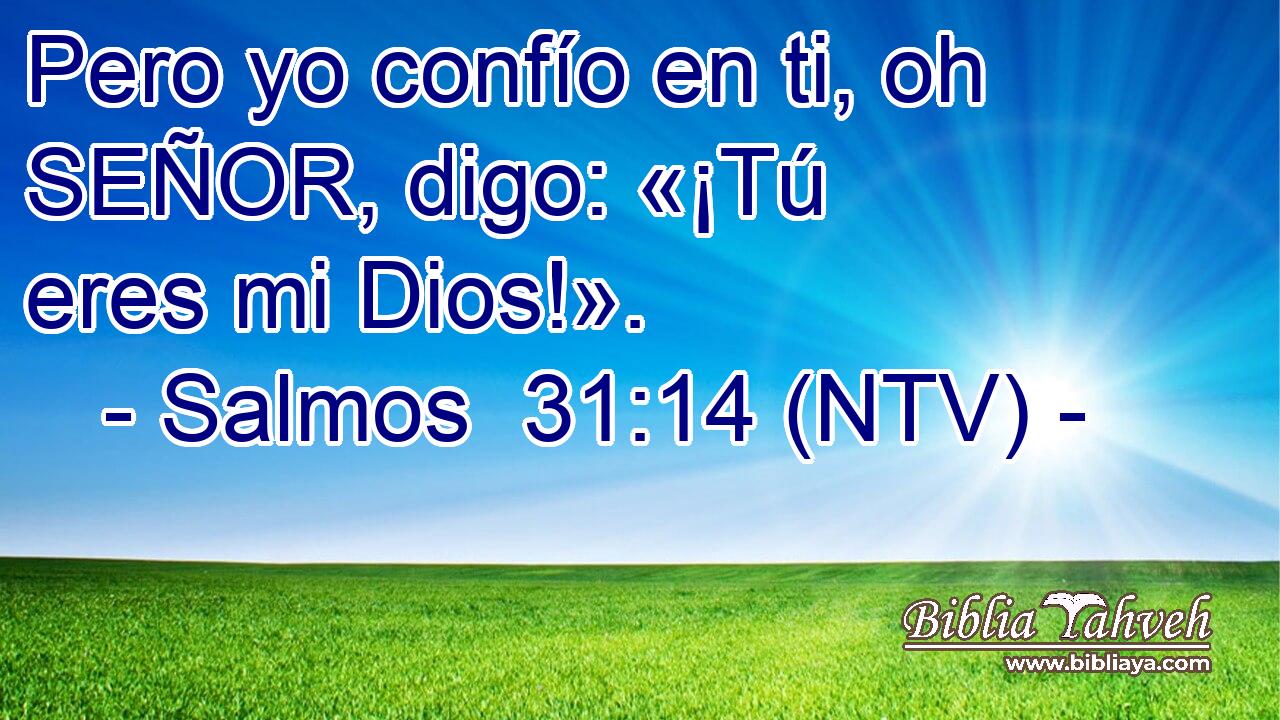Pero yo confío en ti, oh SEÑOR, digo: «¡Tú eres mi Dios!».