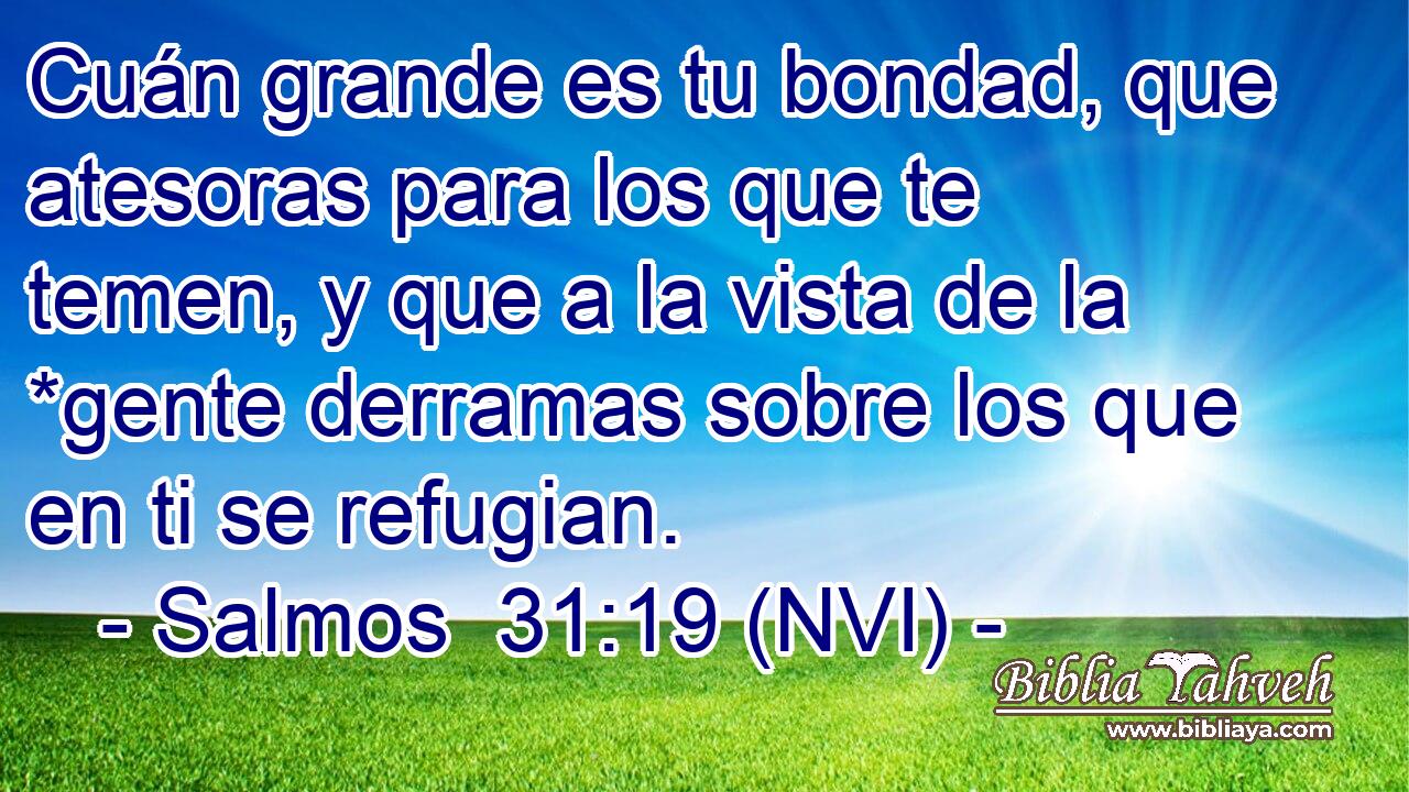  Cuán grande es tu bondad, que atesoras para los que te temen, y que a la vista de la *gente derramas sobre los que en ti se refugian. 