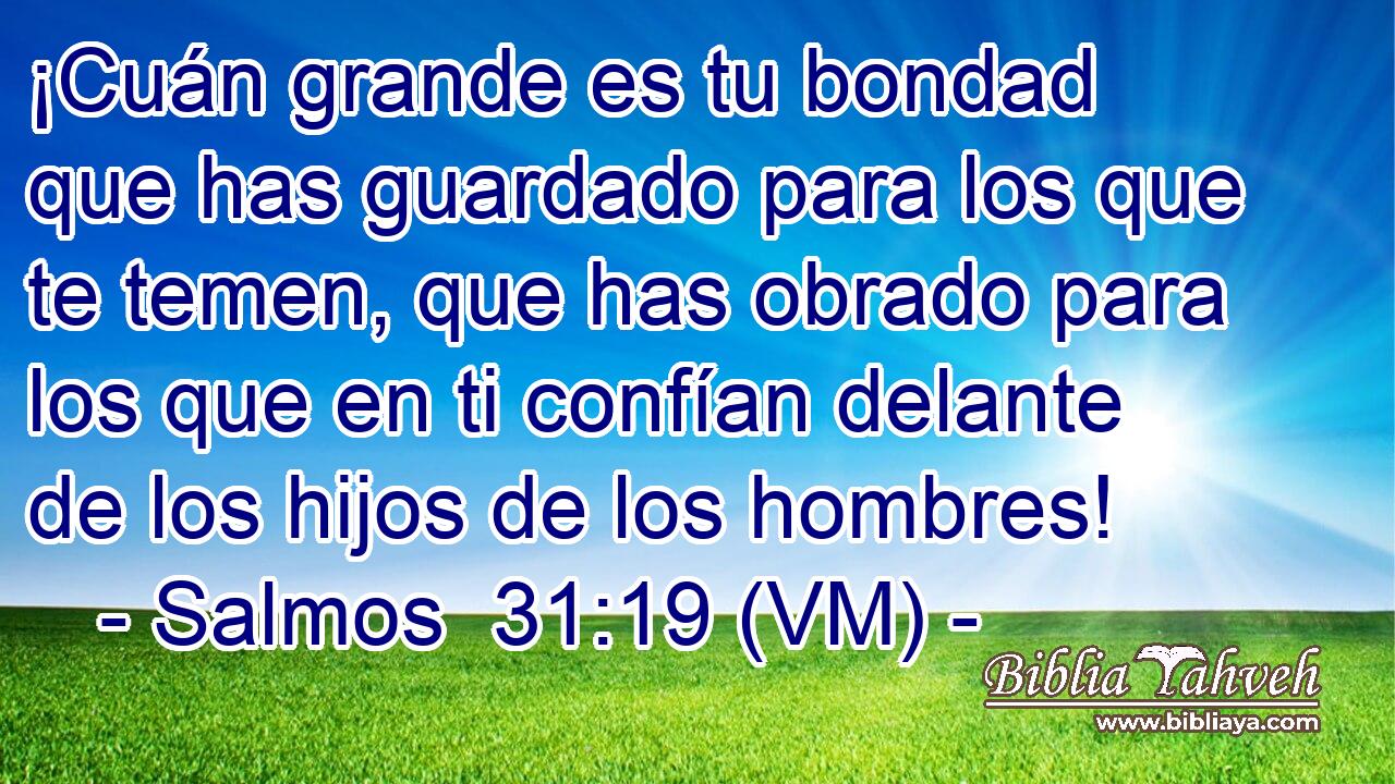  ¡Cuán grande es tu bondad que has guardado para los que te temen, que has obrado para los que en ti confían delante de los hijos de los hombres! 