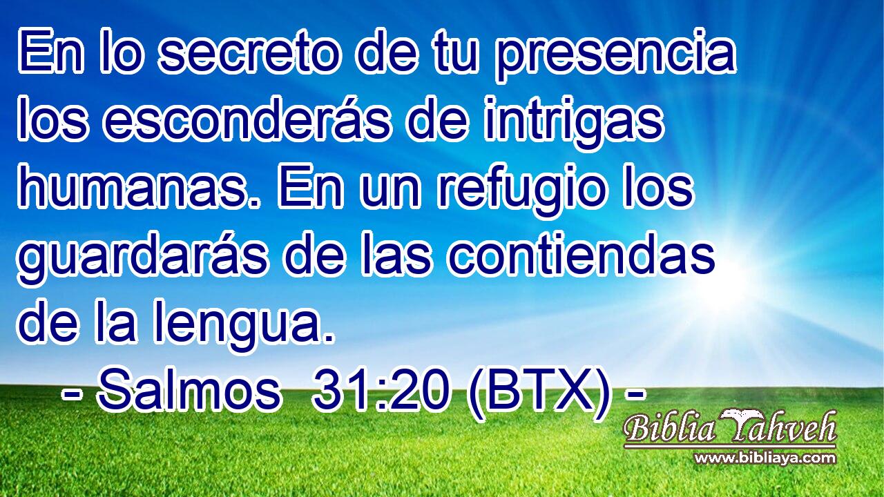 En lo secreto de tu presencia los esconderás de intrigas humanas. En un refugio los guardarás de las contiendas de la lengua.