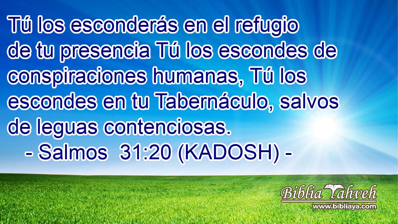  Tú los esconderás en el refugio de tu presencia Tú los escondes de conspiraciones humanas, Tú los escondes en tu Tabernáculo, salvos de leguas contenciosas. 