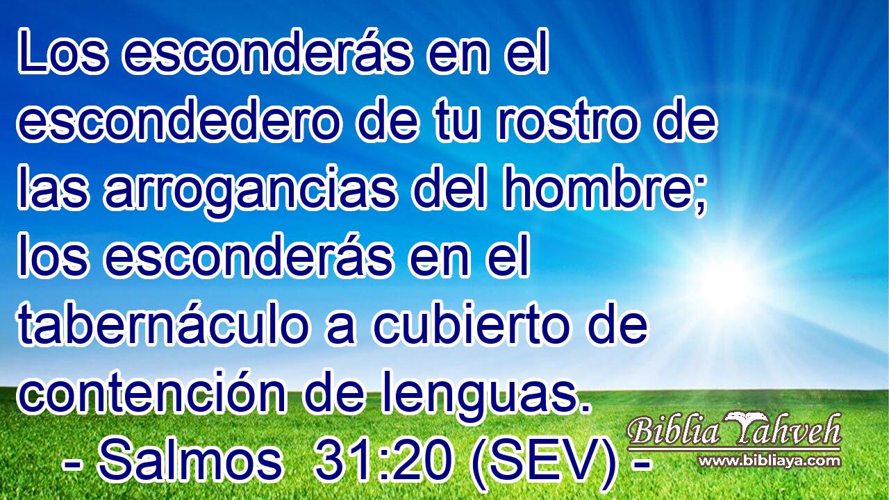 Los esconderás en el escondedero de tu rostro de las arrogancias del hombre; los esconderás en el tabernáculo a cubierto de contención de lenguas.