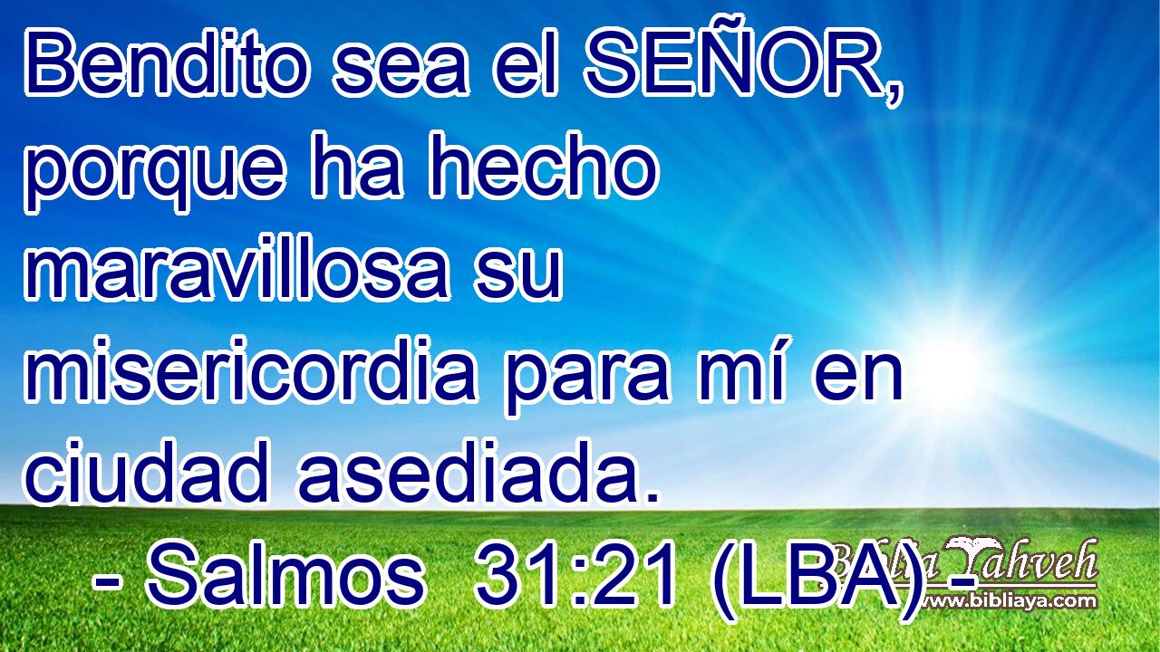 Bendito sea el SEÑOR, porque ha hecho maravillosa su misericordia para mí en ciudad asediada.