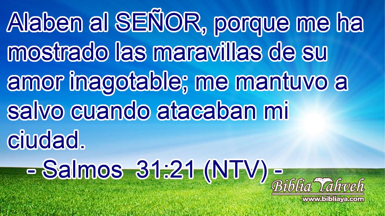 Alaben al SEÑOR, porque me ha mostrado las maravillas de su amor inagotable; me mantuvo a salvo cuando atacaban mi ciudad.