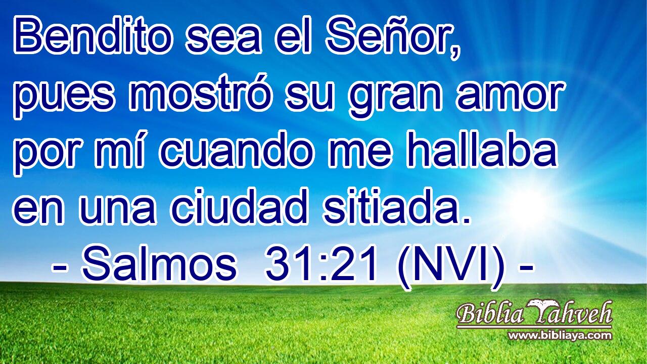  Bendito sea el Señor, pues mostró su gran amor por mí cuando me hallaba en una ciudad sitiada. 