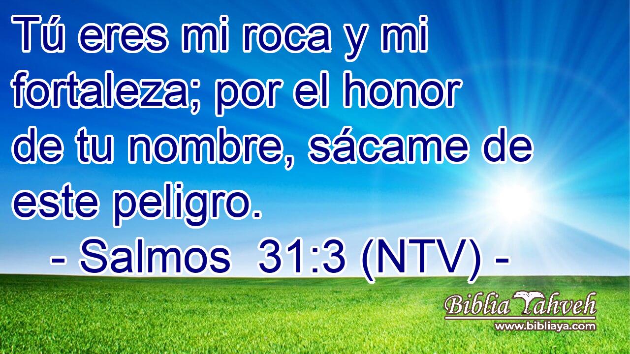 Tú eres mi roca y mi fortaleza; por el honor de tu nombre, sácame de este peligro.