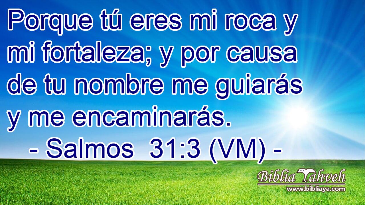  Porque tú eres mi roca y mi fortaleza; y por causa de tu nombre me guiarás y me encaminarás. 