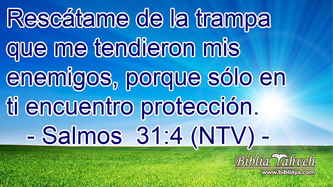 Rescátame de la trampa que me tendieron mis enemigos, porque sólo en ti encuentro protección.