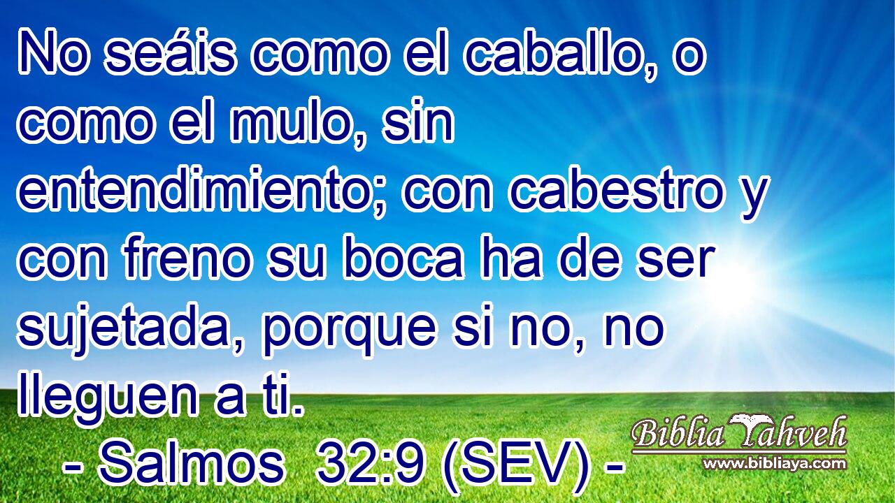 No seáis como el caballo, o como el mulo, sin entendimiento; con cabestro y con freno su boca ha de ser sujetada, porque si no, no lleguen a ti.