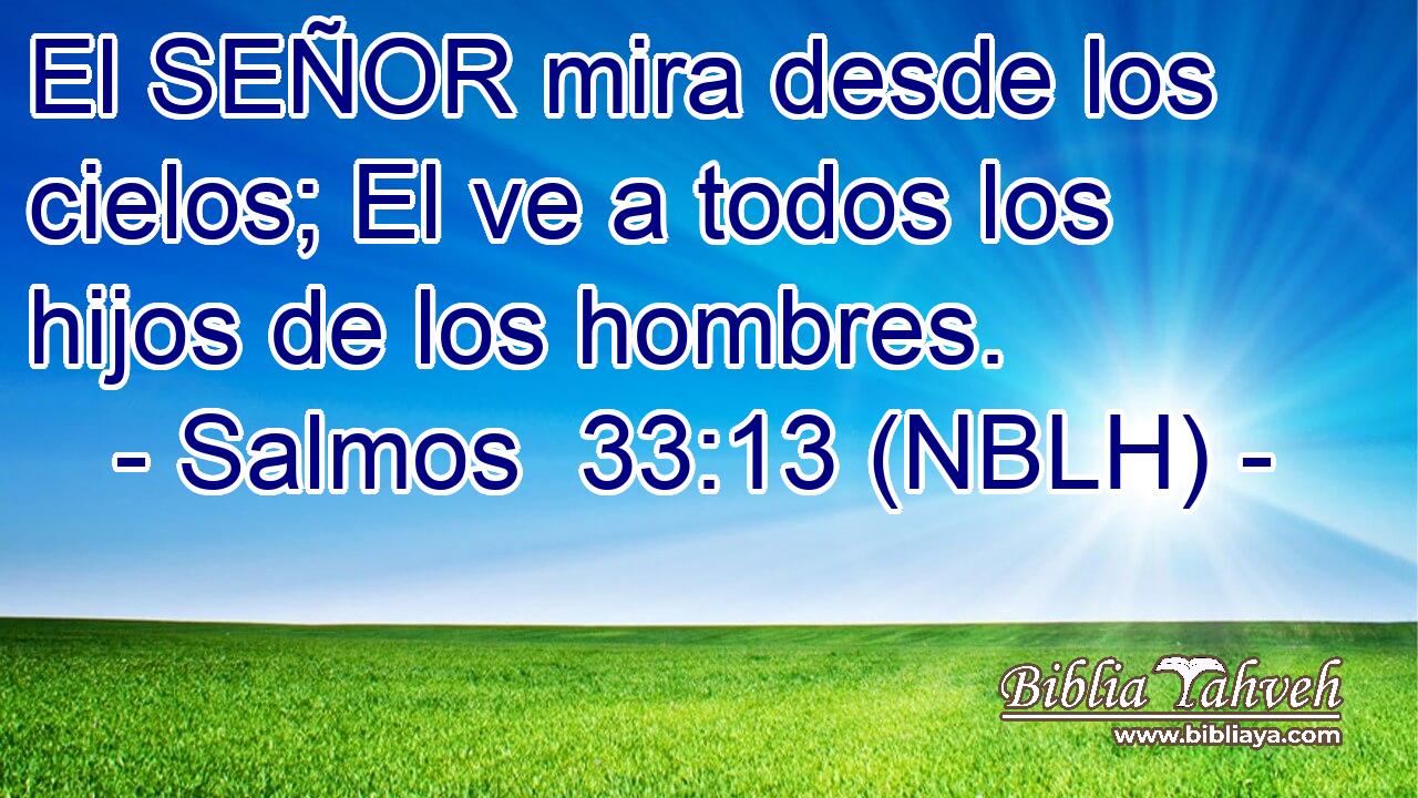  El SEÑOR mira desde los cielos; El ve a todos los hijos de los hombres. 