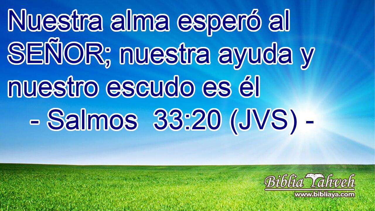Nuestra alma esperó al SEÑOR; nuestra ayuda y nuestro escudo es él