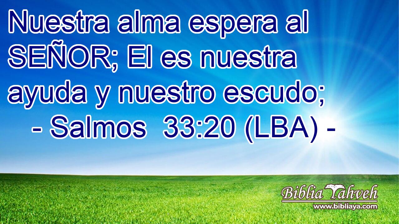 Nuestra alma espera al SEÑOR; El es nuestra ayuda y nuestro escudo;