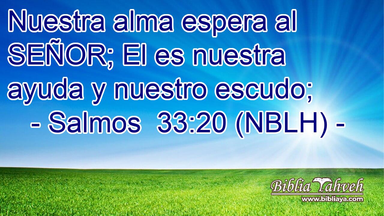  Nuestra alma espera al SEÑOR; El es nuestra ayuda y nuestro escudo; 