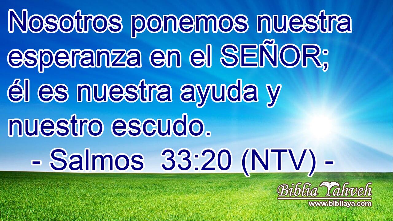 Nosotros ponemos nuestra esperanza en el SEÑOR; él es nuestra ayuda y nuestro escudo.