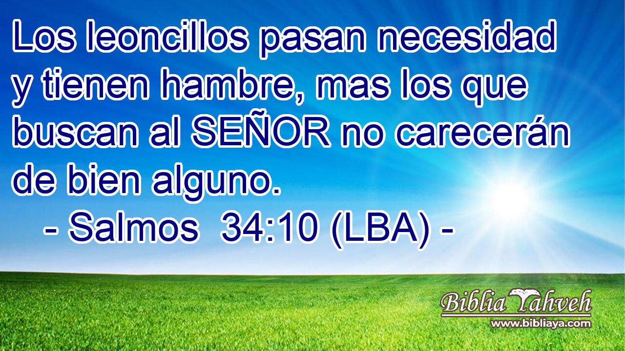 Los leoncillos pasan necesidad y tienen hambre, mas los que buscan al SEÑOR no carecerán de bien alguno.