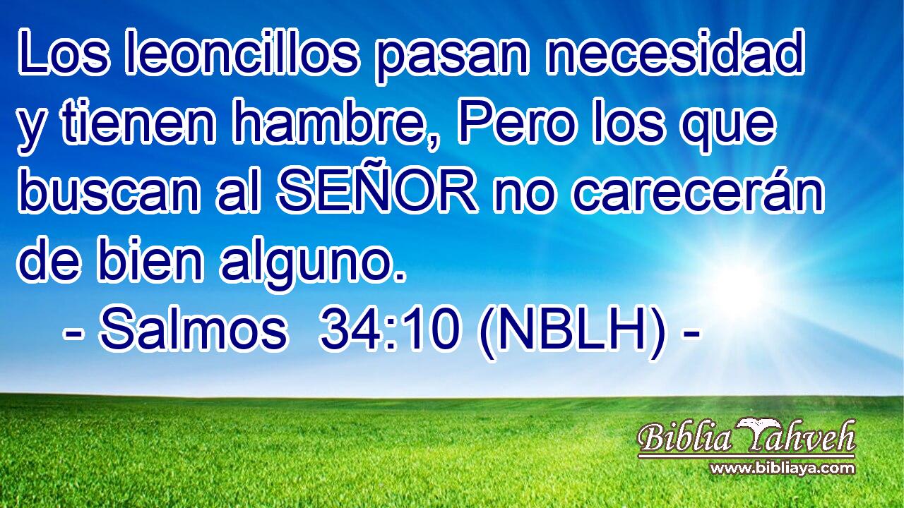  Los leoncillos pasan necesidad y tienen hambre, Pero los que buscan al SEÑOR no carecerán de bien alguno. 