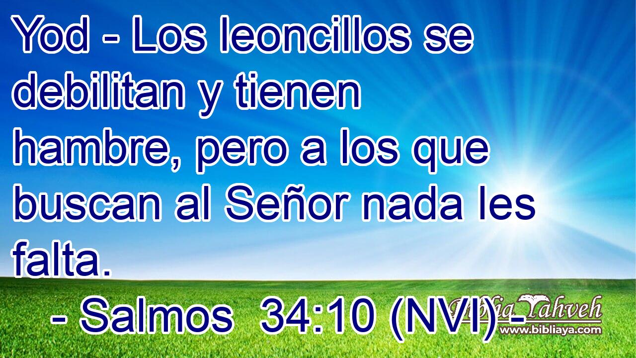  Yod - Los leoncillos se debilitan y tienen hambre, pero a los que buscan al Señor nada les falta. 