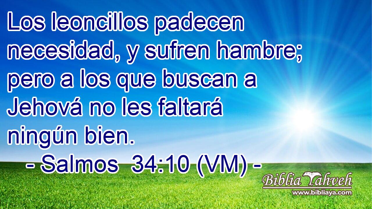  Los leoncillos padecen necesidad, y sufren hambre; pero a los que buscan a Jehová no les faltará ningún bien. 