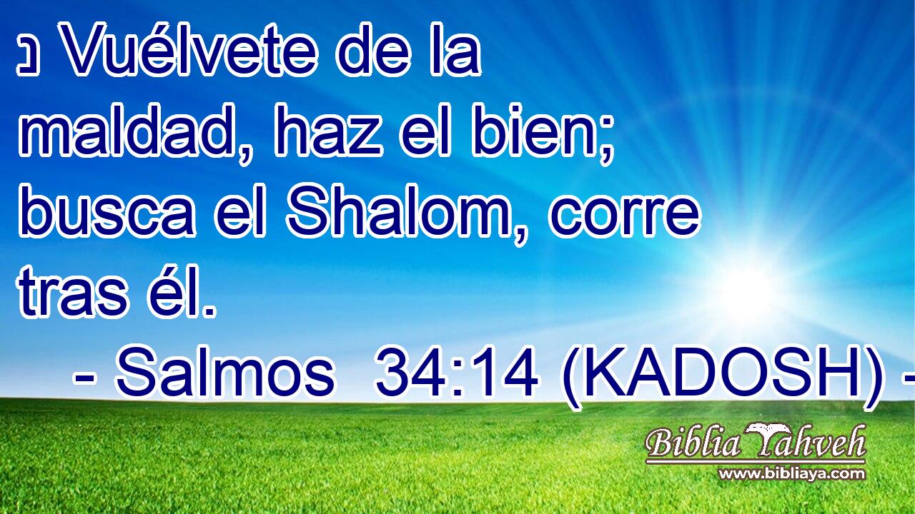  נ Vuélvete de la maldad, haz el bien; busca el Shalom, corre tras él. 