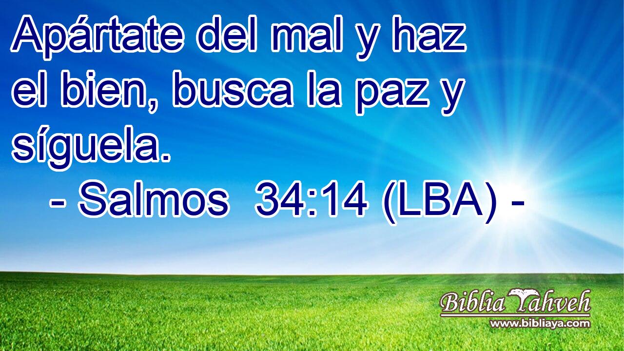 Apártate del mal y haz el bien, busca la paz y síguela.