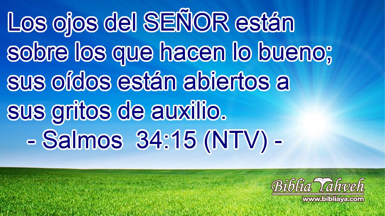Los ojos del SEÑOR están sobre los que hacen lo bueno; sus oídos están abiertos a sus gritos de auxilio.