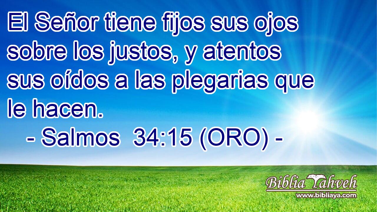  El Señor tiene fijos sus ojos sobre los justos, y atentos sus oídos a las plegarias que le hacen. 