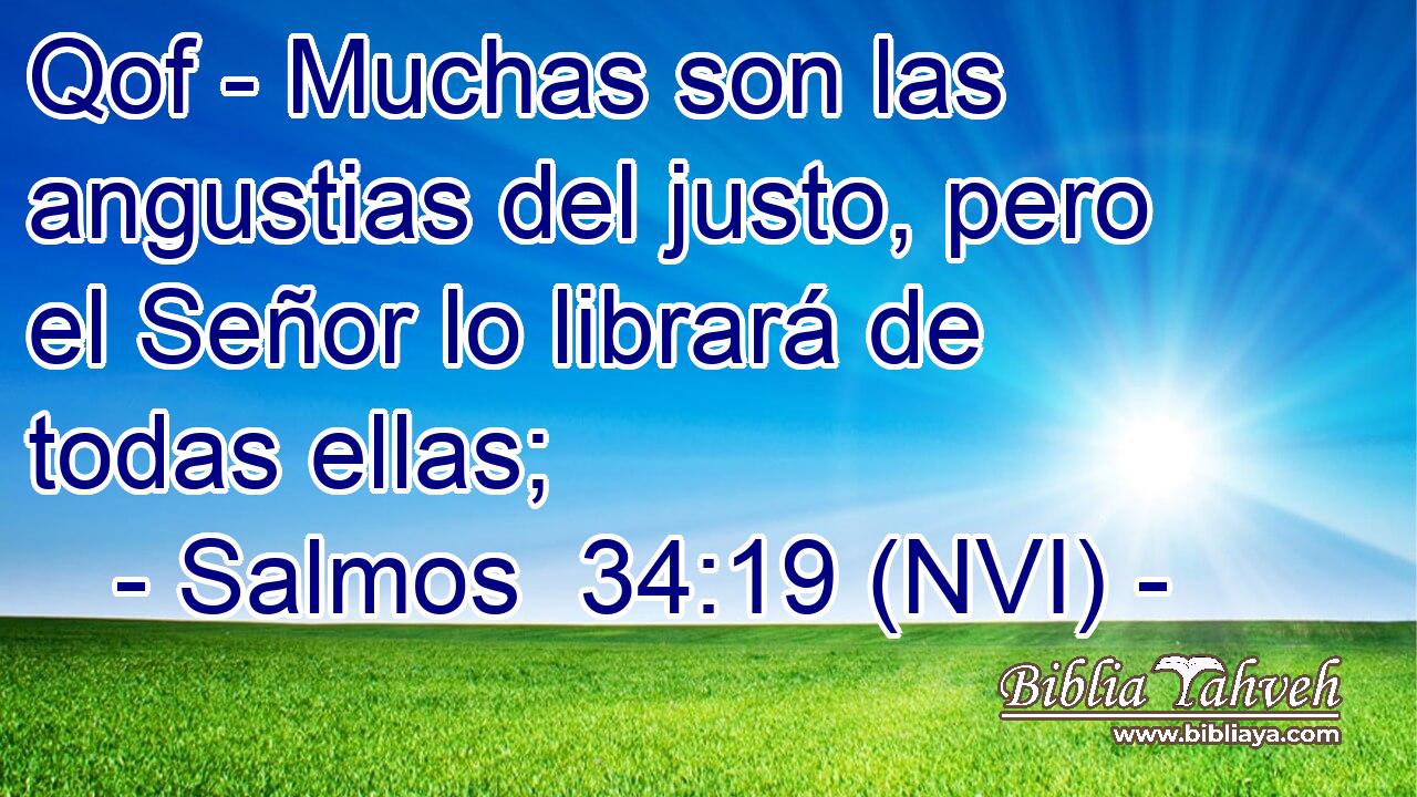  Qof - Muchas son las angustias del justo, pero el Señor lo librará de todas ellas; 