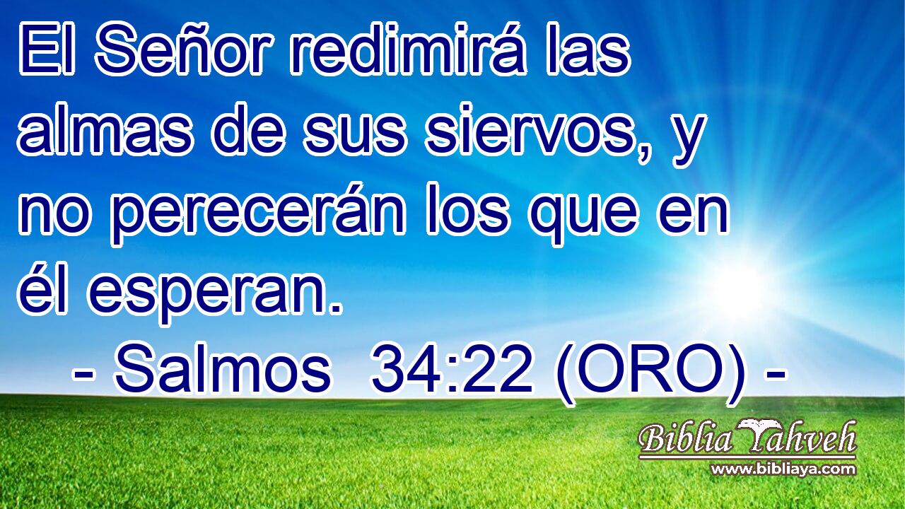  El Señor redimirá las almas de sus siervos, y no perecerán los que en él esperan. 