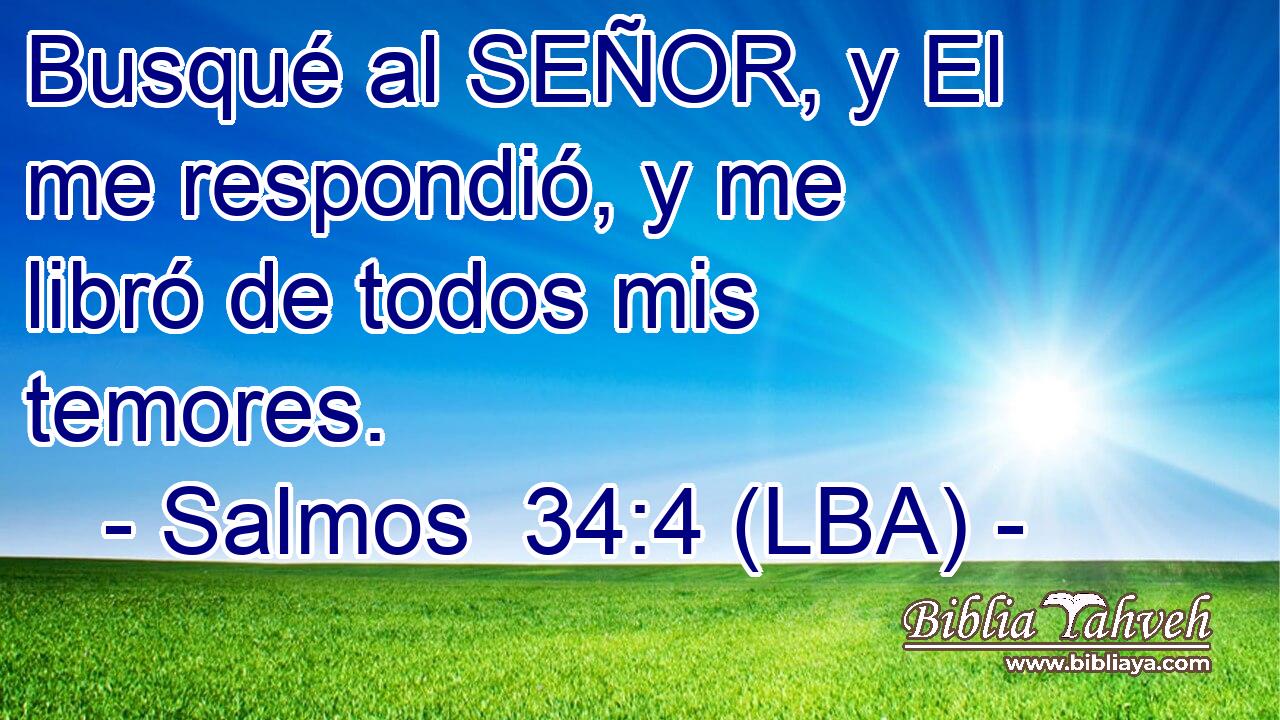 Busqué al SEÑOR, y El me respondió, y me libró de todos mis temores.