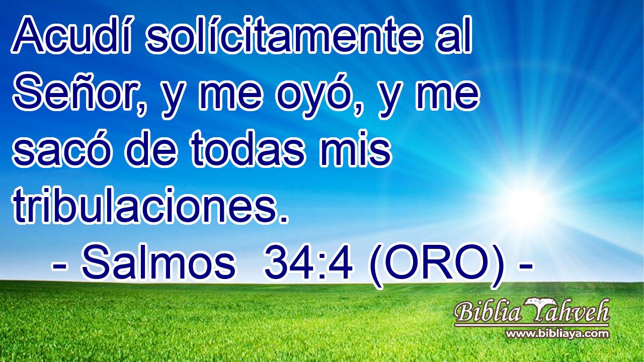  Acudí solícitamente al Señor, y me oyó, y me sacó de todas mis tribulaciones. 