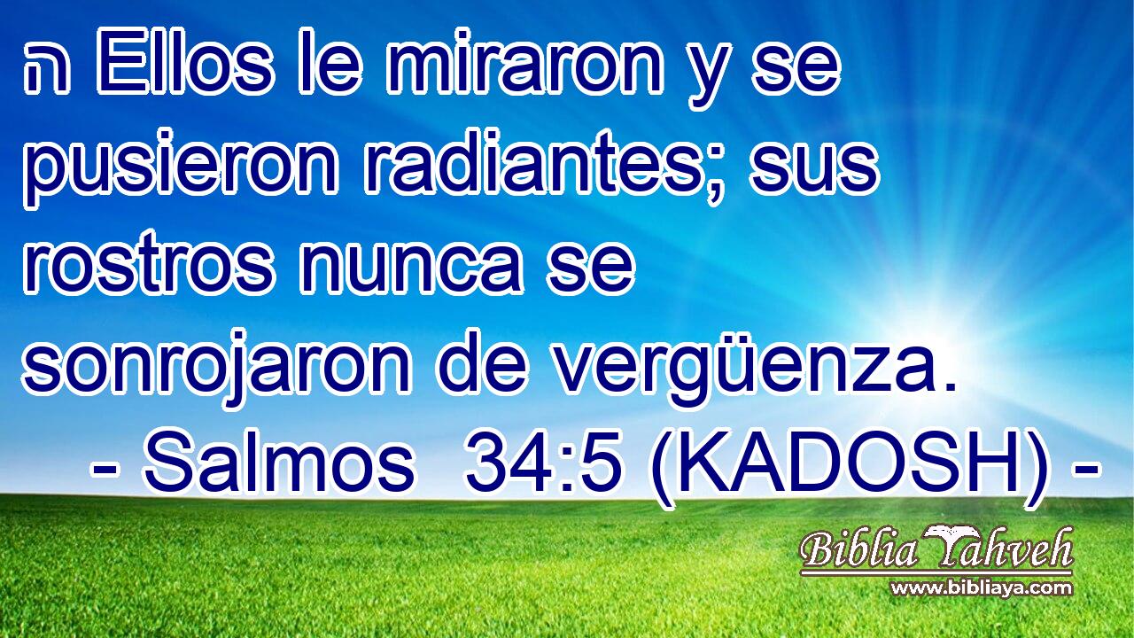  ה Ellos le miraron y se pusieron radiantes; sus rostros nunca se sonrojaron de vergüenza. 